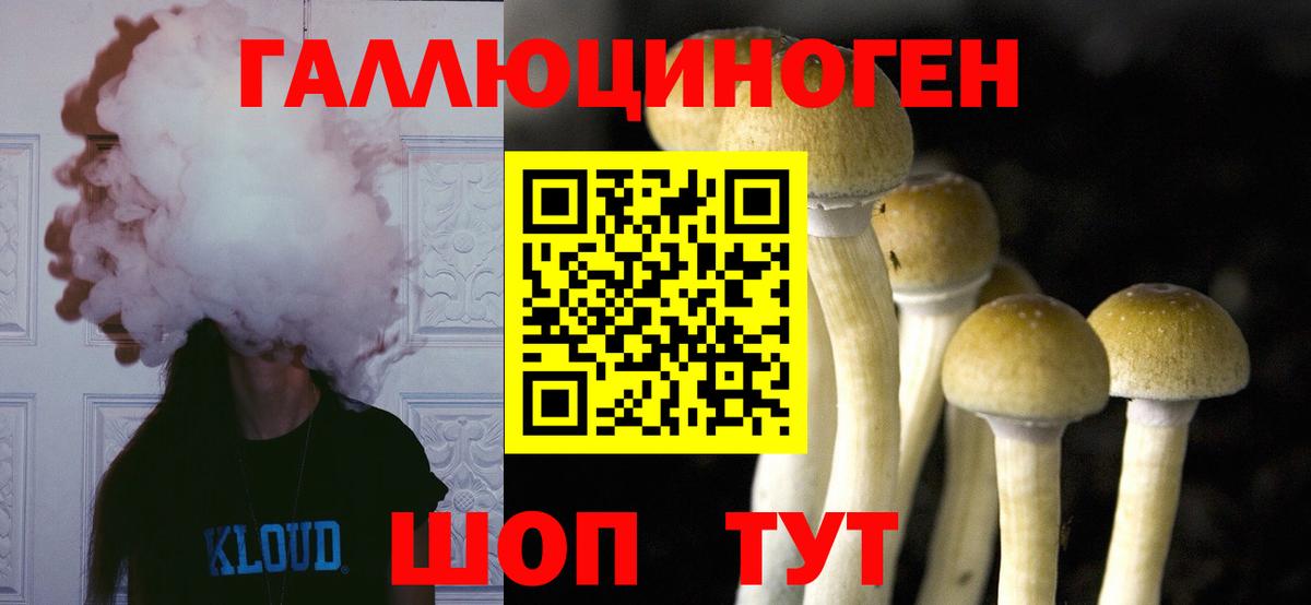 Псилоцибиновые грибы мицелий  Вход с VPN  Галлюциногенные грибы ЛСД  Асбест 